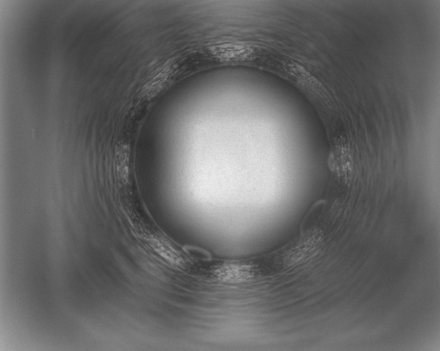 X0000052610664200507081848