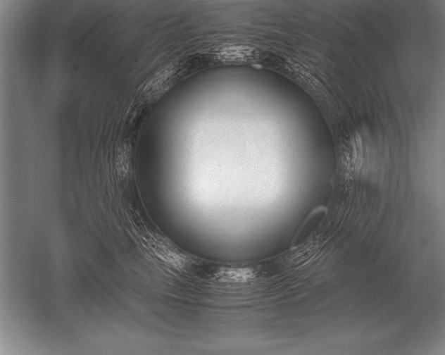 X0000052610665200507081848