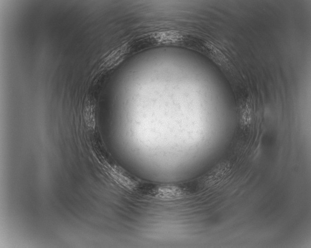 X0000052610666200507081848