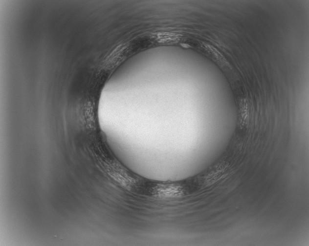 X0000052610667200507081848