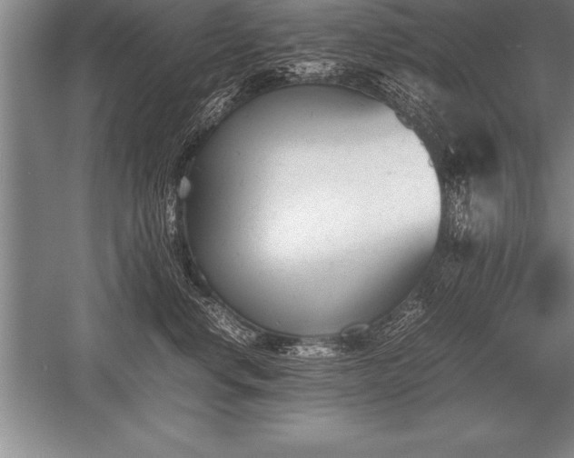 X0000052610668200507081848