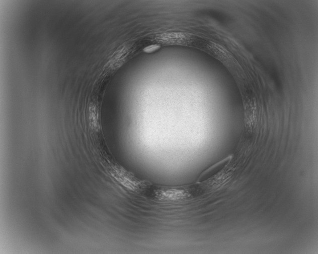 X0000052610669200507081848