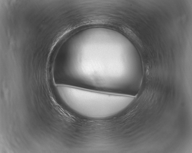 X0000052610676200507081847