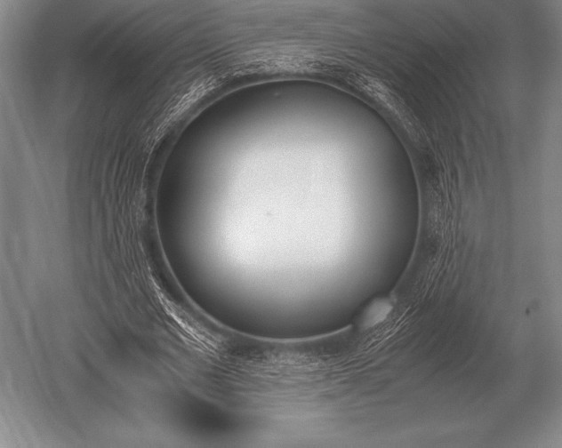 X0000052610677200507081847