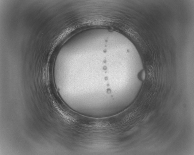 X0000052610678200507081847