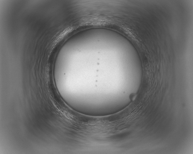 X0000052610679200507081847