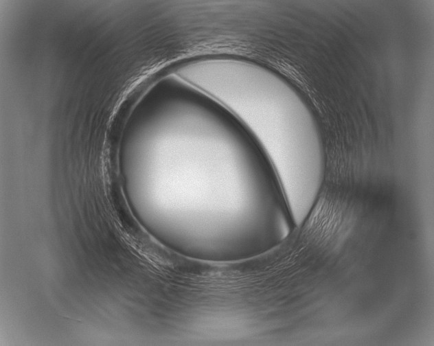 X0000052610680200507081847