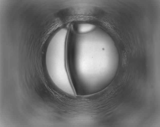 X0000052610683200507081847