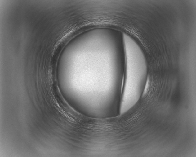 X0000052610684200507081847