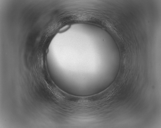 X0000052610685200507081847