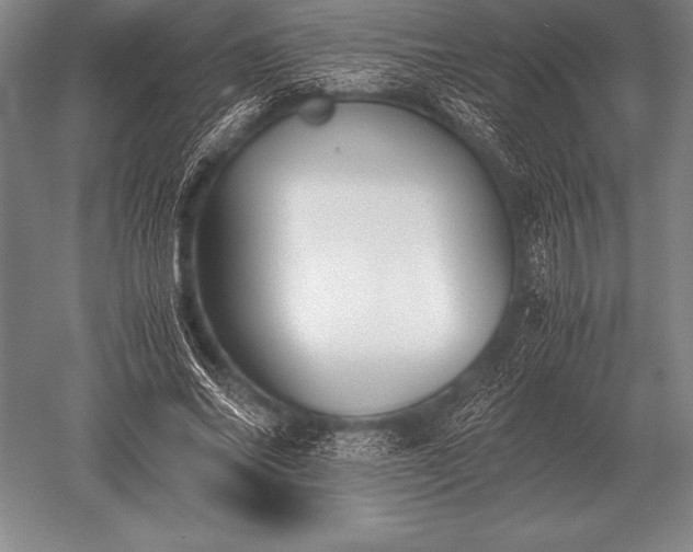 X0000052610686200507081847