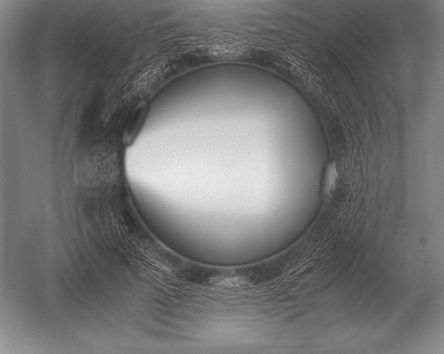 X0000052610689200507081847