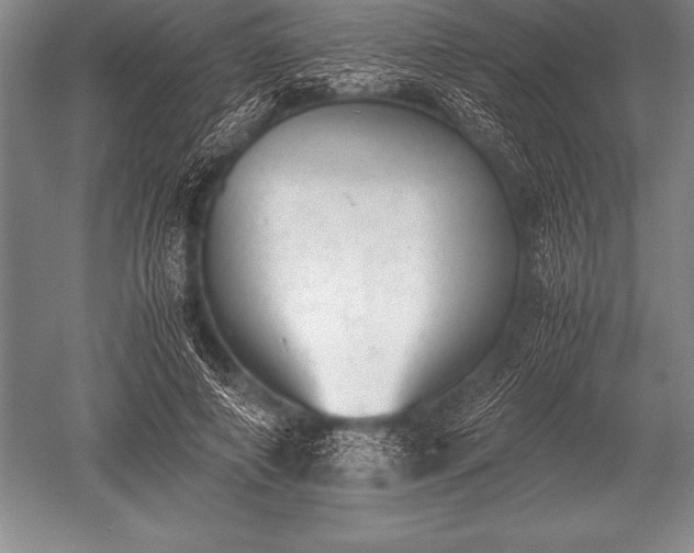 X0000052610690200507081847