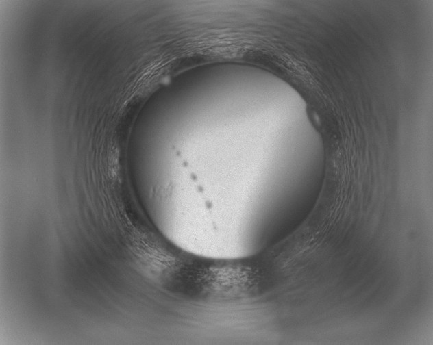 X0000052610693200507081847