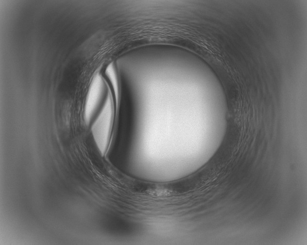 X0000052610695200507081847