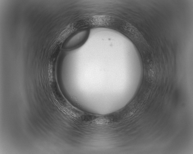 X0000052610696200507081847