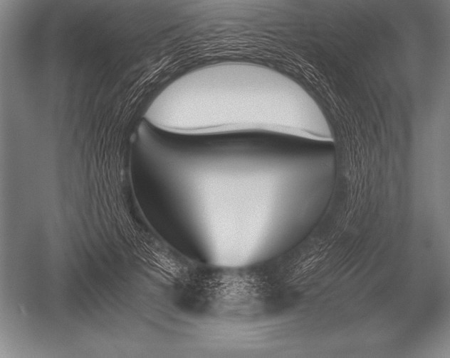 X0000052610697200507081847