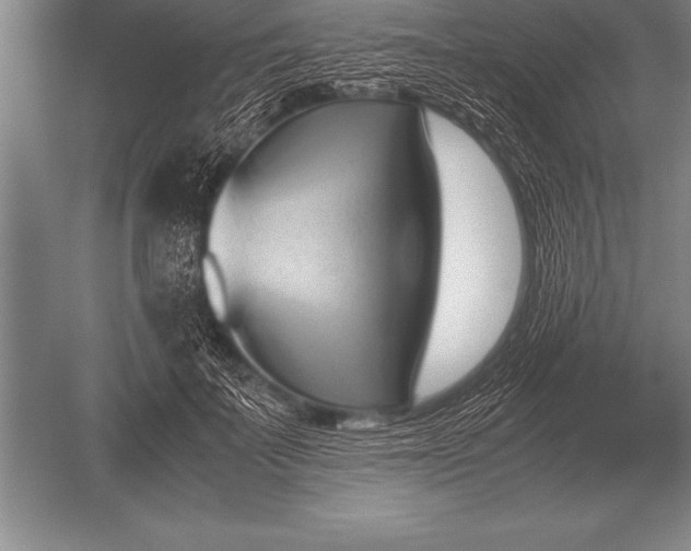 X0000052610699200507081847