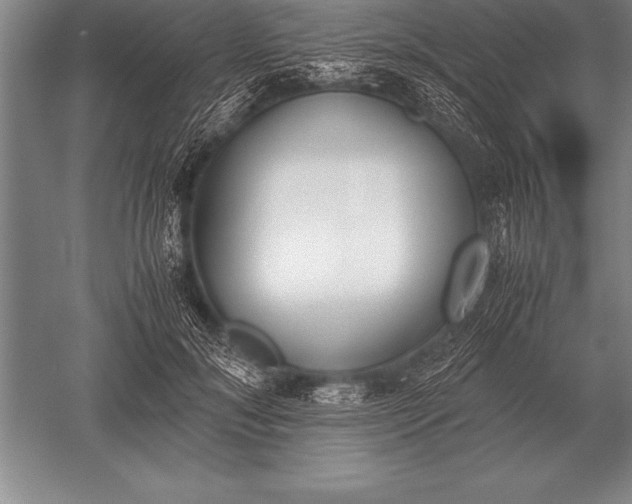 X0000052610700200507081847