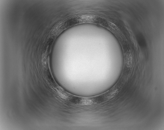 X0000052610701200507081847