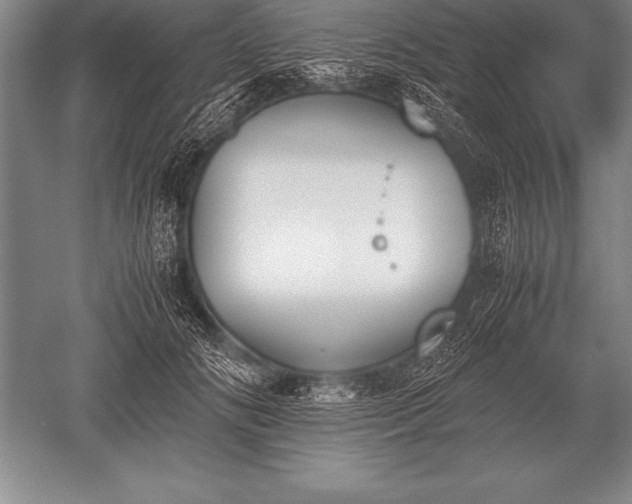 X0000052610702200507081847