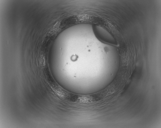 X0000052610703200507081846