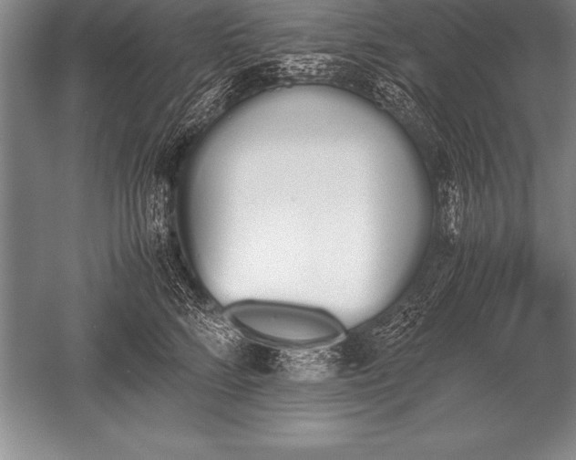 X0000052610712200507081846