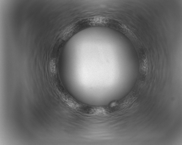 X0000052610715200507081846