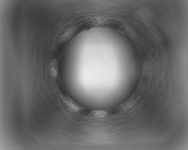 X0000052610719200507081846