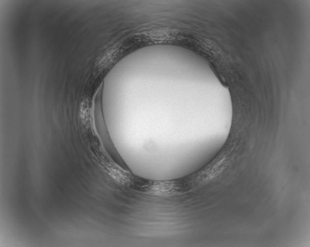 X0000052610720200507081846