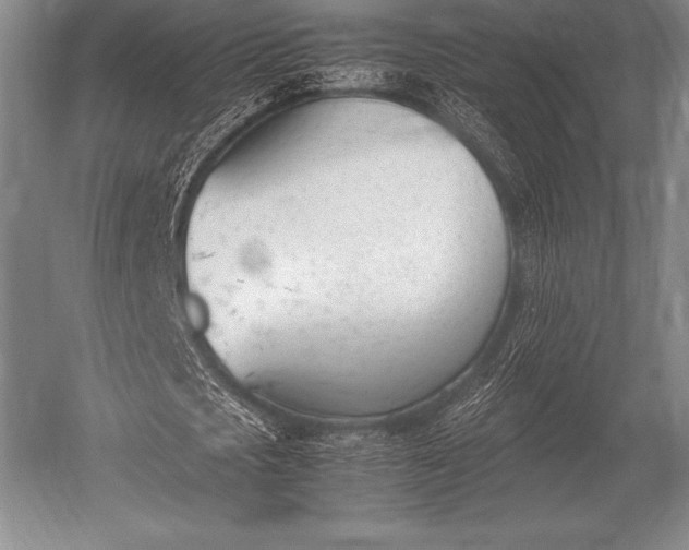 X0000052610721200507081845