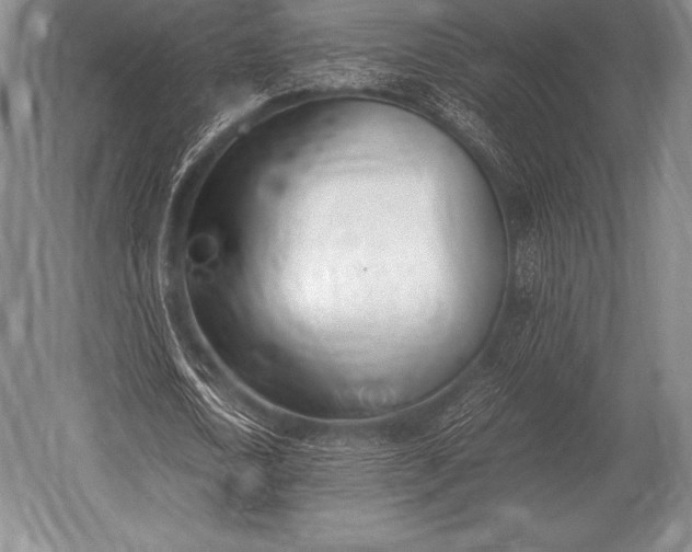 X0000052610722200507081845