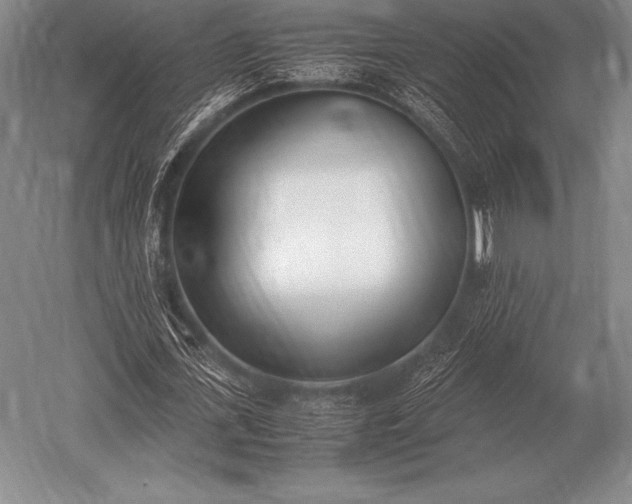 X0000052610723200507081845