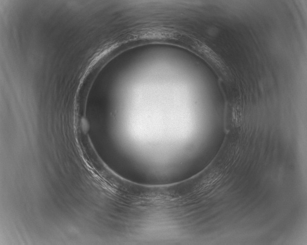 X0000052610724200507081845