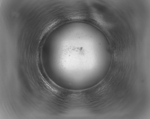 X0000052610725200507081845