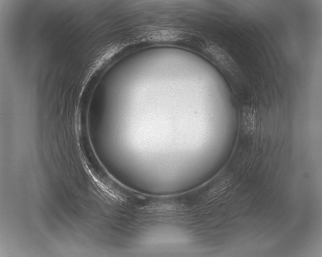 X0000052610726200507081845