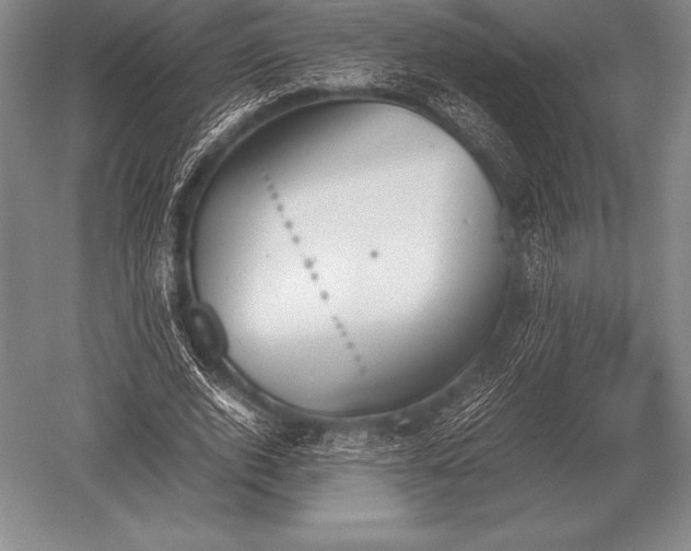 X0000052610728200507081846