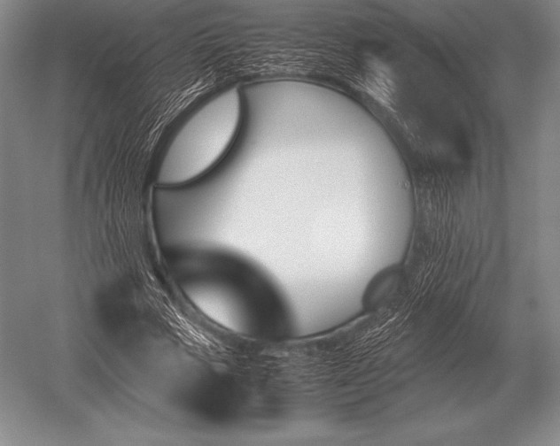 X0000052610729200507081846