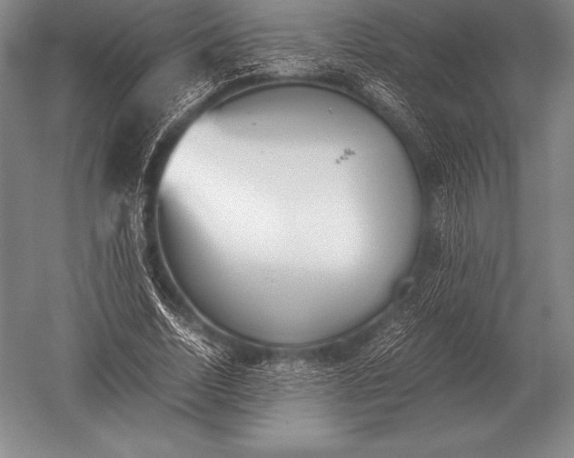 X0000052610730200507081846