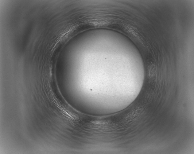 X0000052610733200507081846