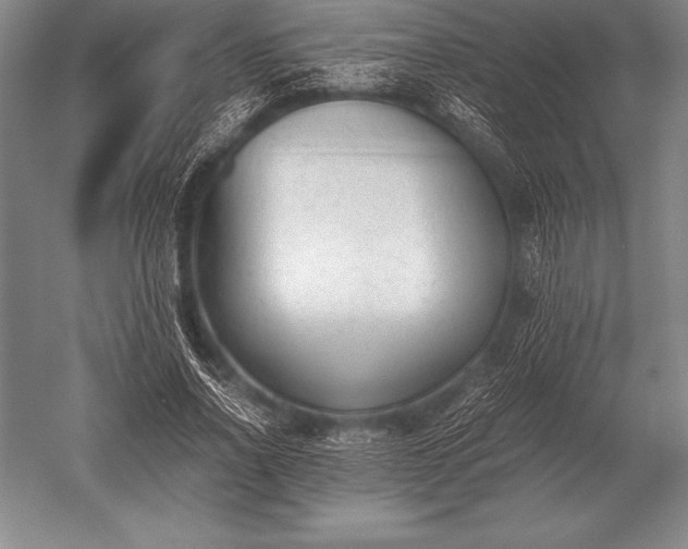 X0000052610734200507081846