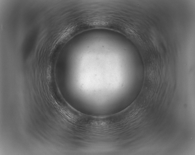 X0000052610735200507081846