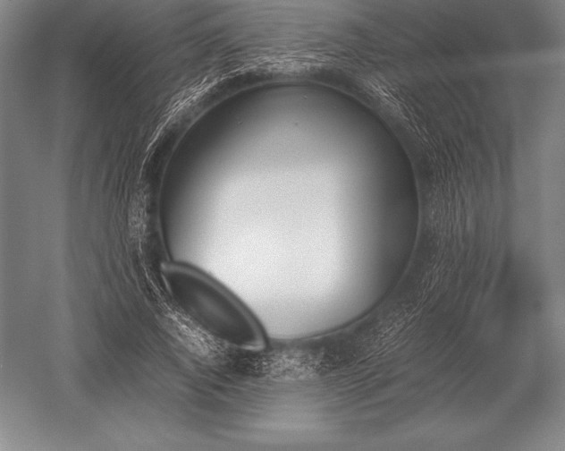 X0000052610736200507081846