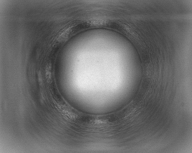 X0000052610737200507081846