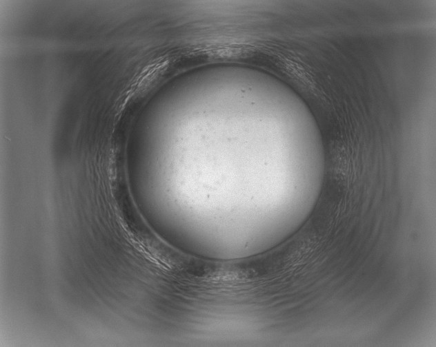 X0000052610738200507081846