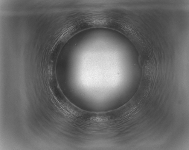 X0000052610739200507081846