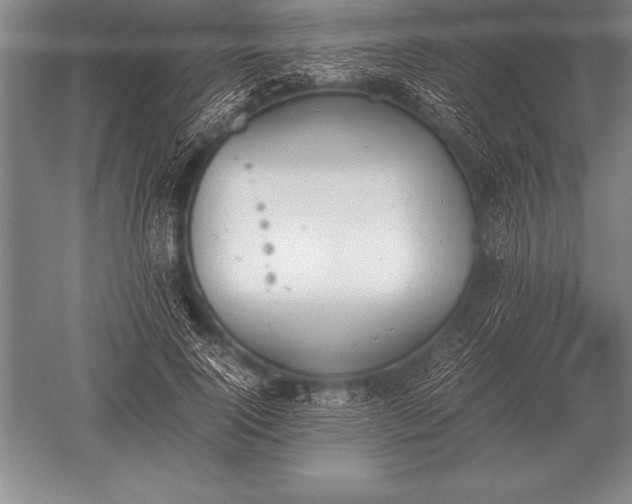 X0000052610740200507081846