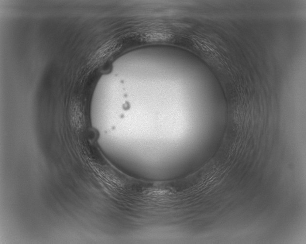 X0000052610743200507081846