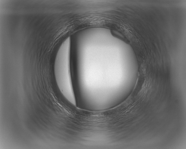 X0000052610744200507081846