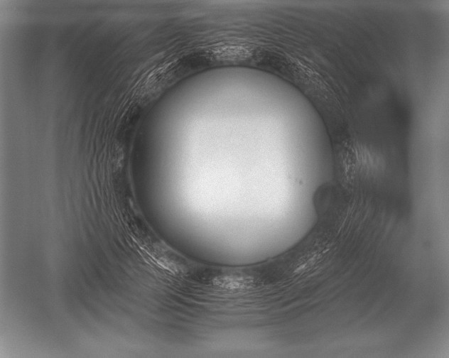 X0000052610745200507081846